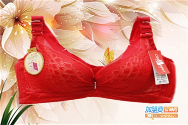 奥黛佳人内衣加盟费