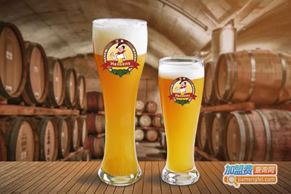 串工厂精酿啤酒美洲烤肉加盟费