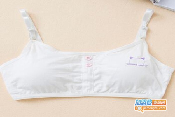 红天娇内衣加盟费