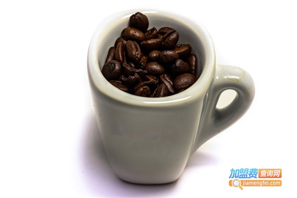 猫咪森林咖啡加盟费