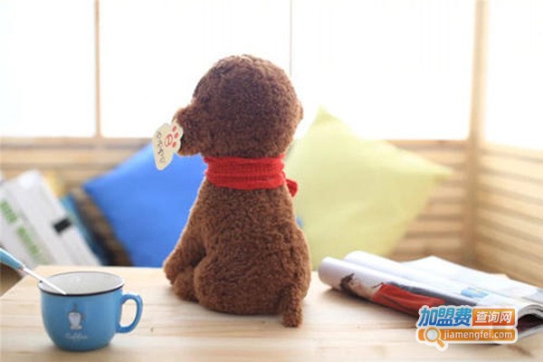 波比熊毛绒公仔加盟