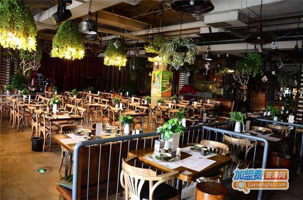 加一音乐餐吧加盟