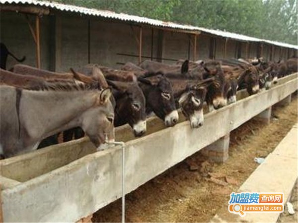 全味驴庄加盟门店