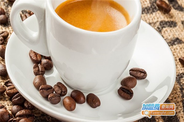 猫咪森林咖啡店加盟费