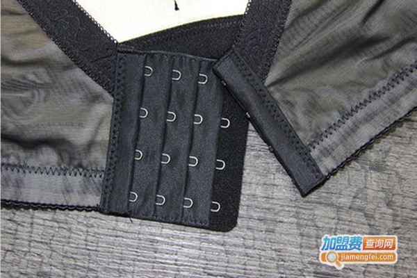 莱纳莉内衣加盟门店