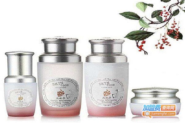 skin food化妆品