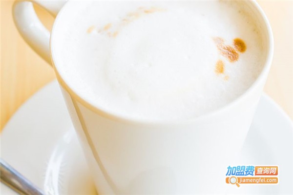 famul法穆尔欧洲冻酸奶加盟费