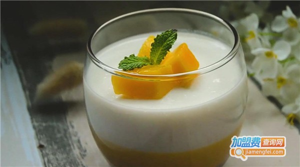 舞茗酸奶加盟费