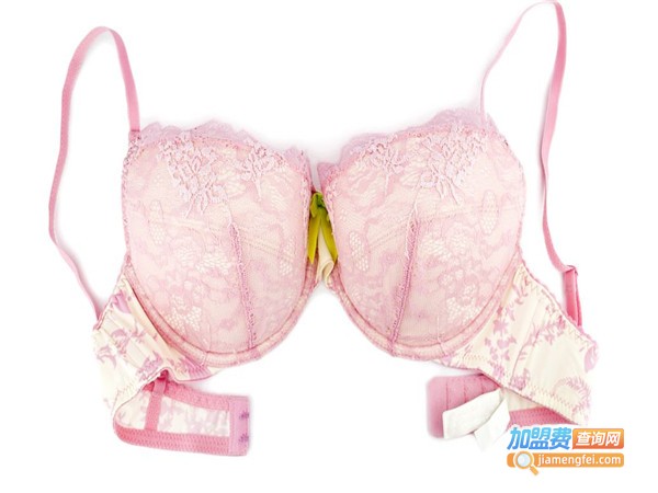 岚莉内衣加盟门店