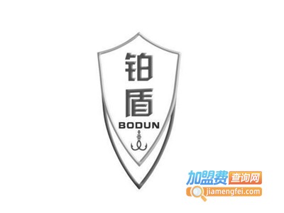 铂盾车载保险箱