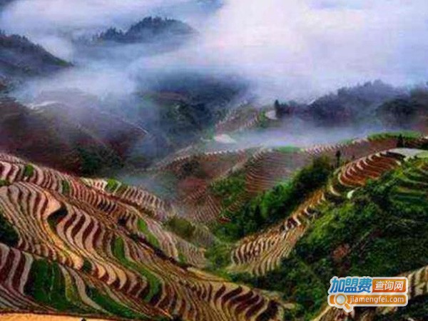 Airgle奥郎格空气净化器加盟费