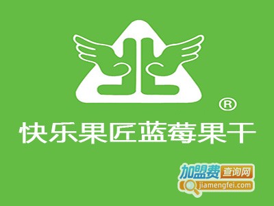 快乐果匠蓝莓果干