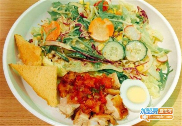 Chaan轻食·暖沙拉加盟费