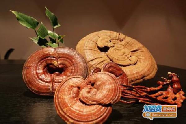 冠生灵芝加盟费