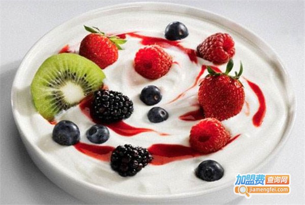 只只酸奶加盟费