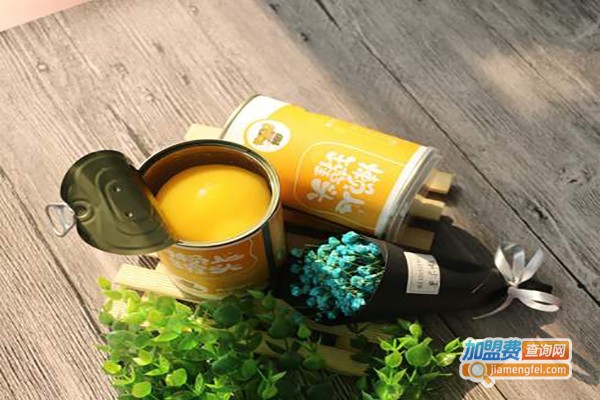 果小懒罐头加盟费