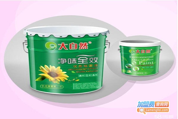 大自然油漆加盟门店
