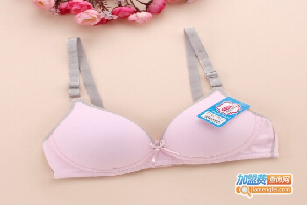 Lise Charmel内衣加盟费