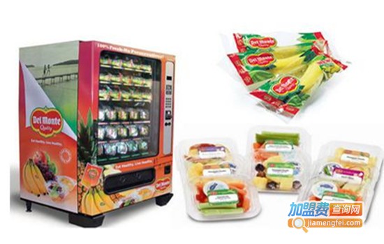 宅男宅女自动贩卖机加盟
