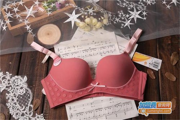 七彩丽人风内衣加盟费