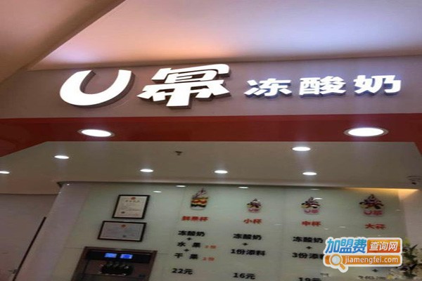 u幂·冻酸奶加盟费多少钱？
