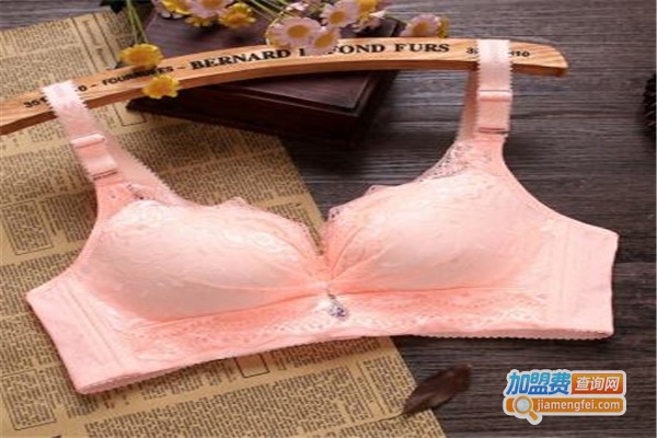 汉臣施美内衣加盟费