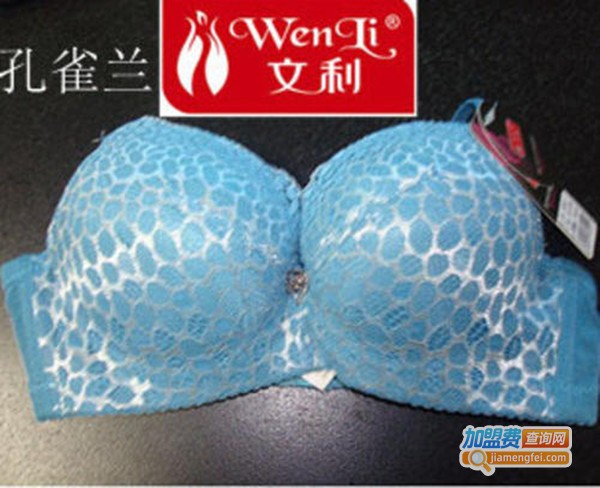 文利内衣加盟费