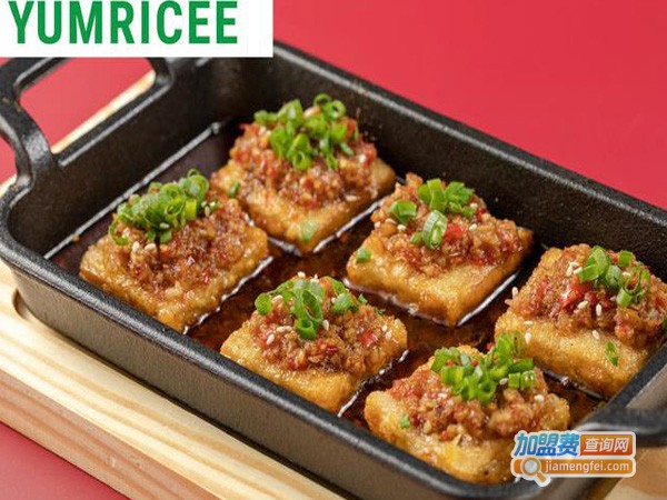 YUMRICEE云饵加盟费