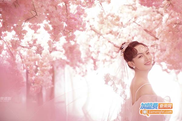 芒果婚纱摄影加盟门店