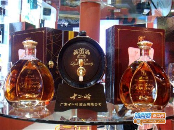 十二岭酒业加盟门店