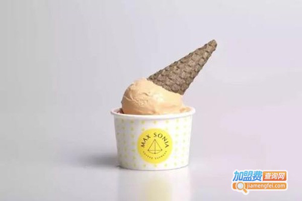 百分百冰淇淋加盟门店