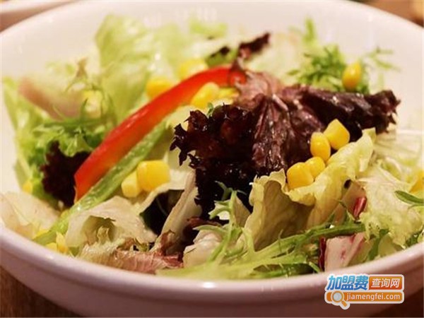 纯翠沙拉加盟门店