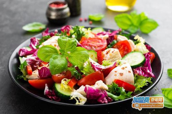 LeafyGreens格林沙拉加盟费