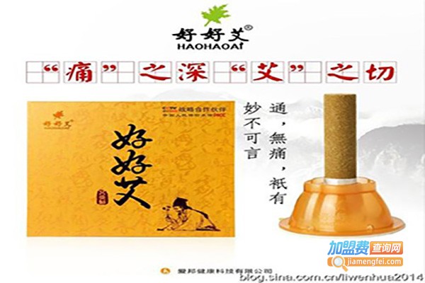 好好艾艾灸