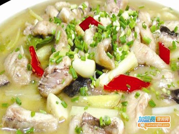 四川孙鲶鱼加盟费