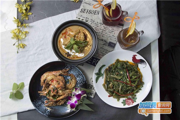 娘惹千语·东南亚料理加盟费