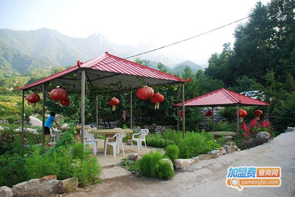 大东北农家院加盟费