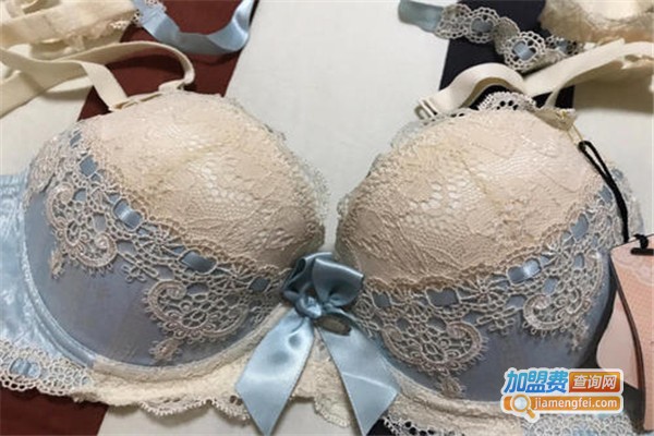 埃布林内衣加盟费