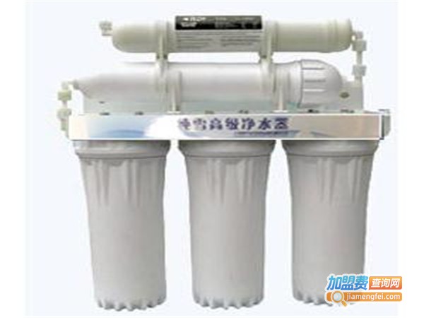 纯雪水处理设备加盟门店