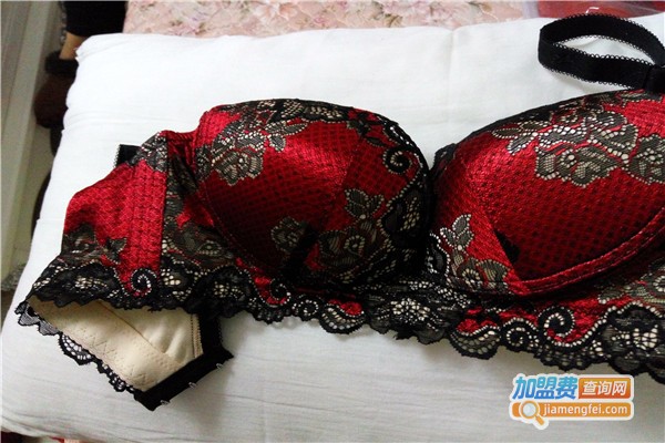 LISCA内衣加盟费