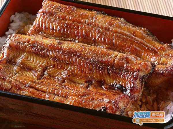 鳗鱼的饭加盟费