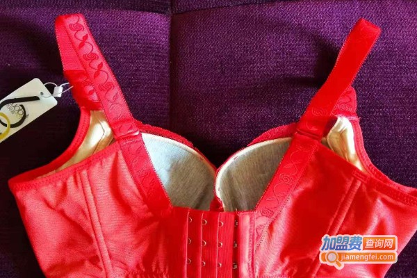 洛贝莉内衣加盟费