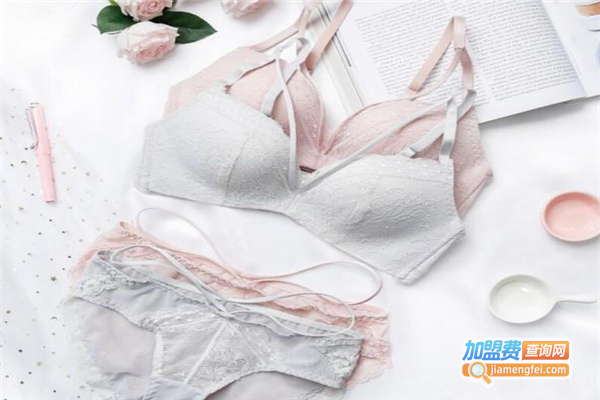 埃布林内衣加盟费