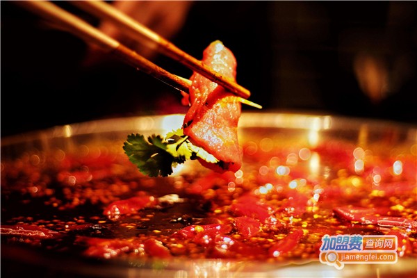 邓家佳hi辣火锅加盟费