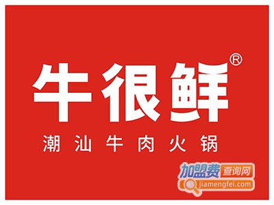 鲜牛时尚潮汕牛肉火锅加盟费