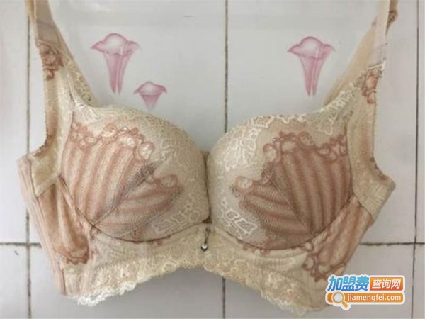 若爱内衣加盟费