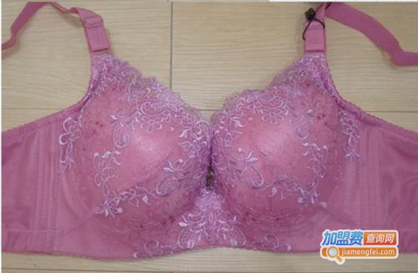 文利内衣加盟费