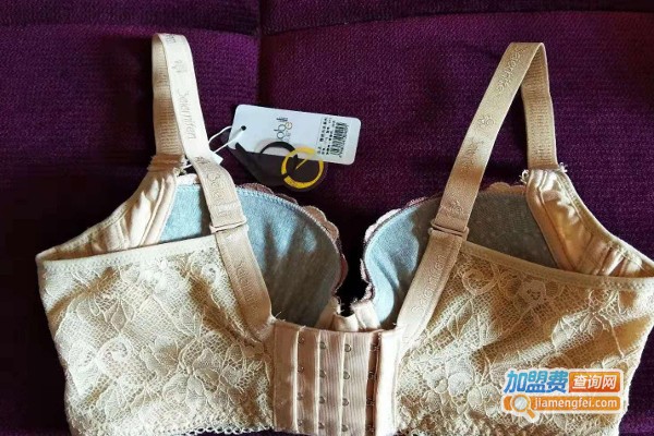 洛贝莉内衣加盟费