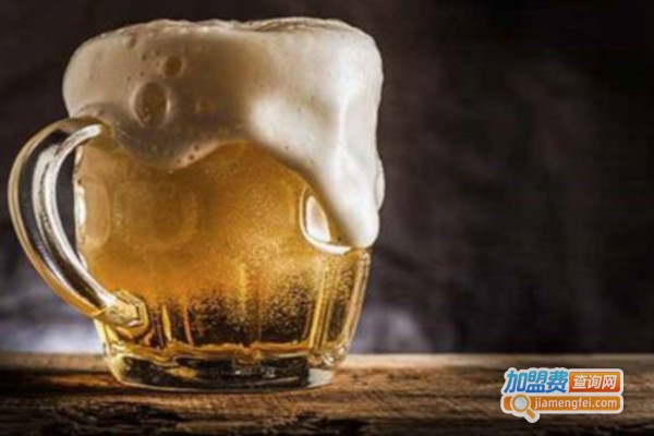 DISCOVER&发现精酿啤酒休闲屋加盟费