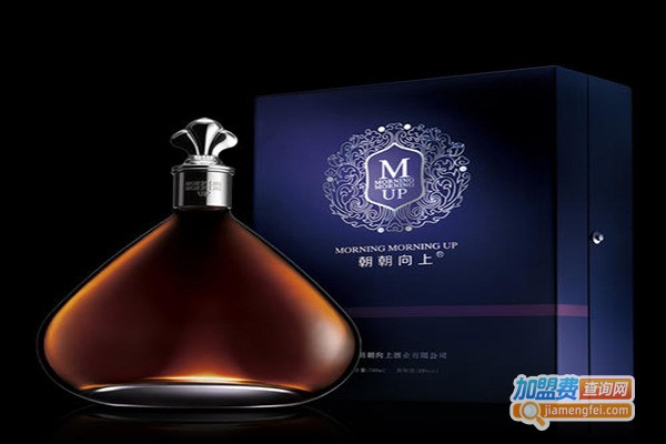 朝朝向上酒业加盟门店